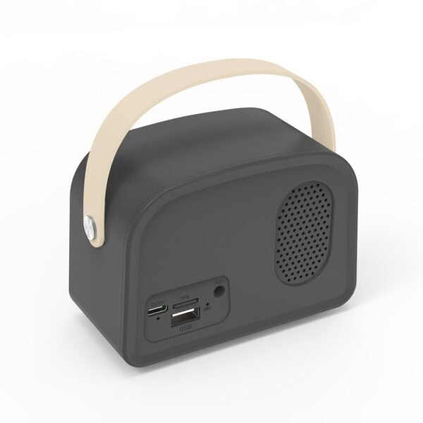 ANTIQ SPEAKER Compact High-Quality Loudspeaker with Timeless Design for Crisp, Immersive Audio