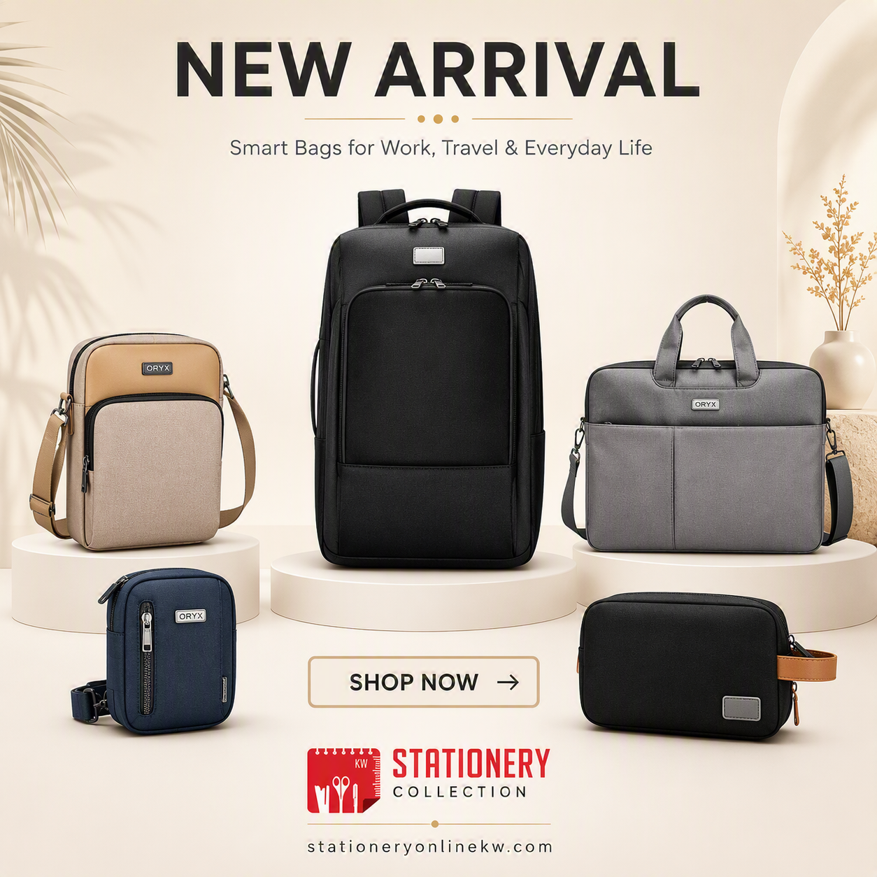 Laptop Bags & Pouches